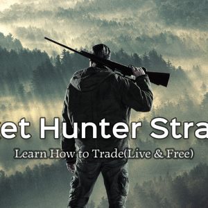 استراتژی شکارچی بازار در فارکس